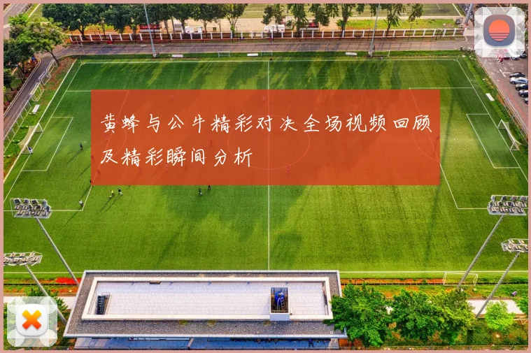 黄蜂与公牛精彩对决全场视频回顾及精彩瞬间分析