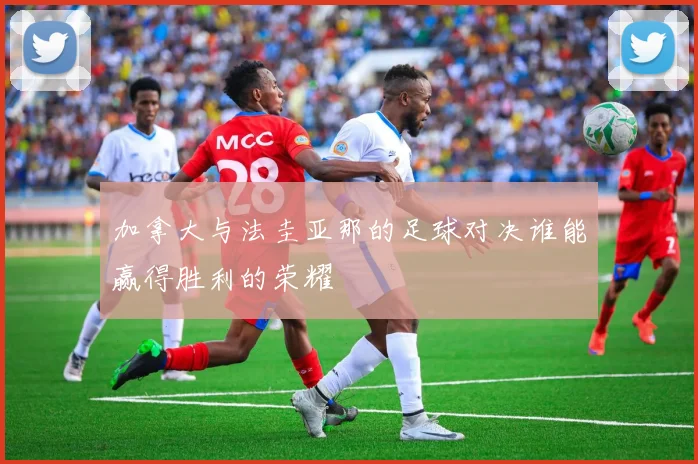 加拿大与法圭亚那的足球对决谁能赢得胜利的荣耀