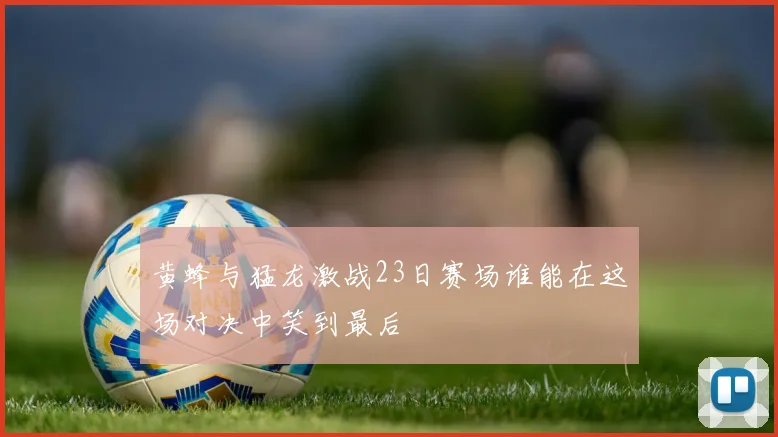 黄蜂与猛龙激战23日赛场谁能在这场对决中笑到最后