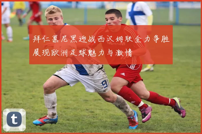 苏宁与申花精彩对决直播视频回放及赛后分析全攻略